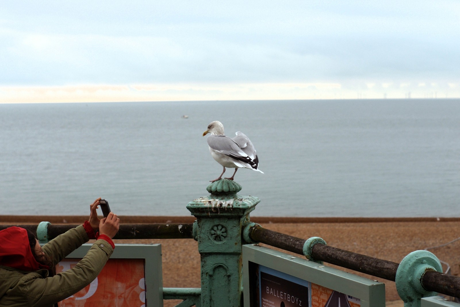 Brunette on Demand Brighton Pier South East Adventures