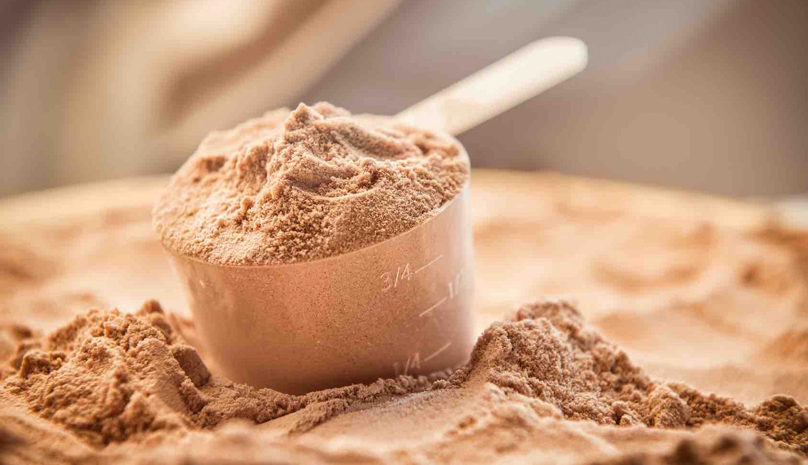 Protein Powder Scoop | Beware Of These 4 Ingredients When Buying Protein Bars